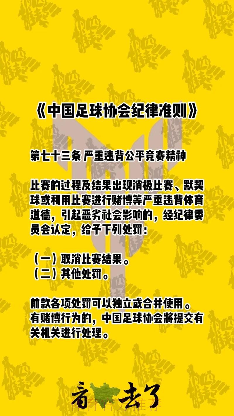 中国足协出台新版纪律准则 中国足协出台新版纪律准则